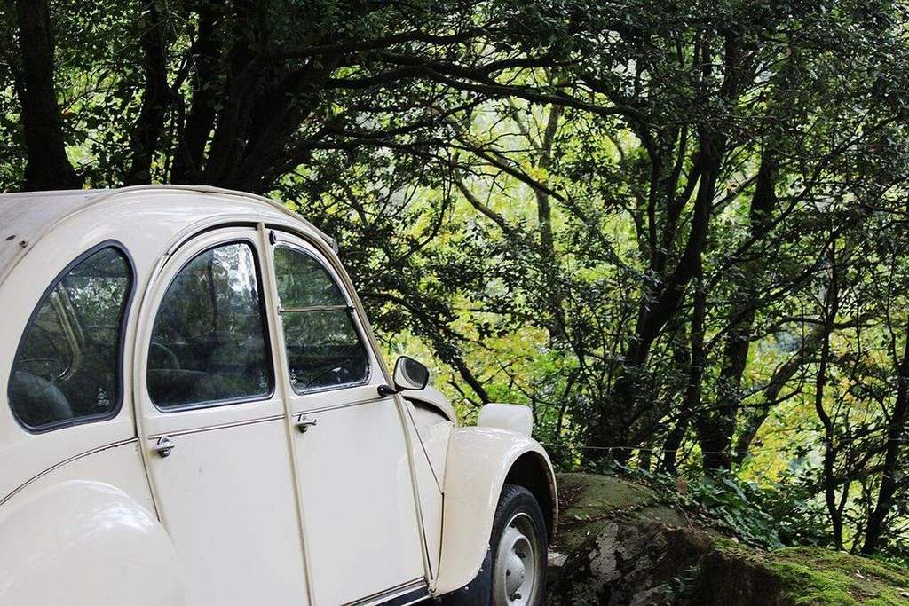 Used car with patina: show the honest condition instead of shooting flattering angles