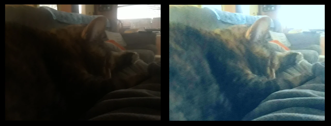 Katze auf einem Sofa: links dunkel aufgenommen, rechts aufgehellt